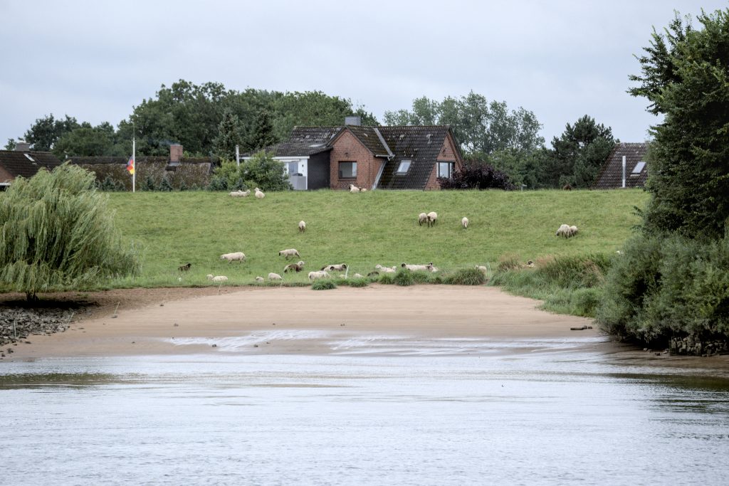 HR_2025-07-31_15-40-37_DSCF5811