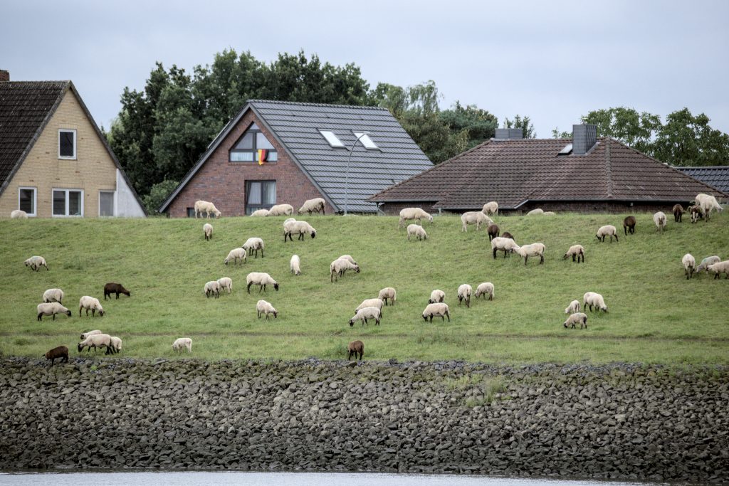 HR_2025-07-31_15-41-28_DSCF5814