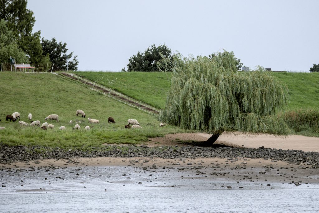 HR_2025-07-31_15-41-57_DSCF5818