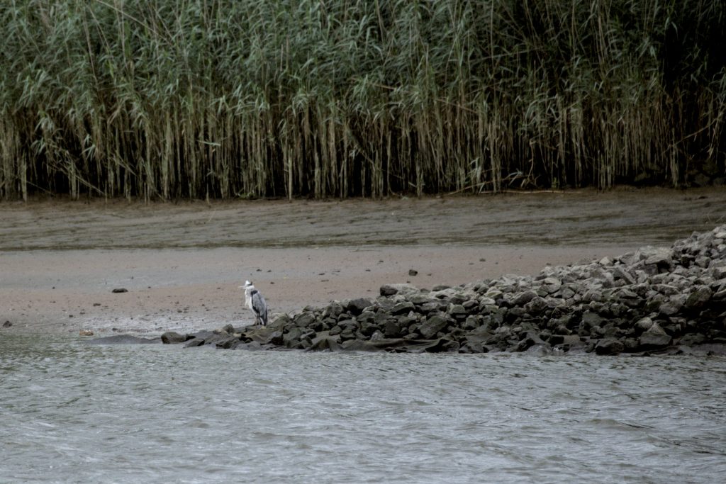 HR_2025-07-31_15-52-09_DSCF5830