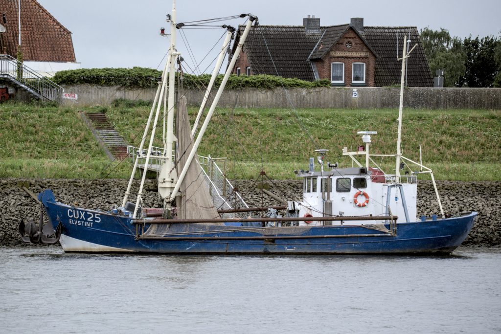 HR_2025-07-31_16-00-15_DSCF5848