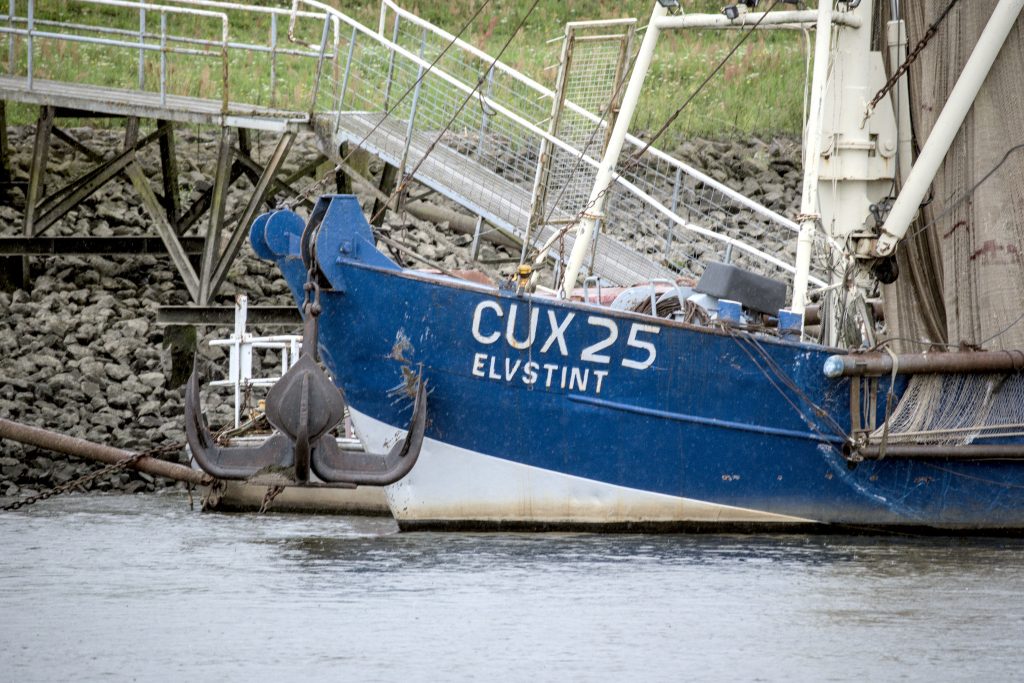 HR_2025-07-31_16-00-30_DSCF5854