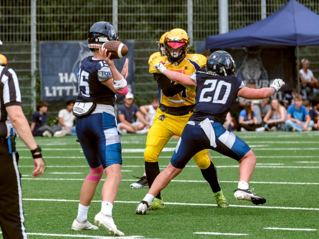 HR_2025-09-20_16-30-47_DSCF8088