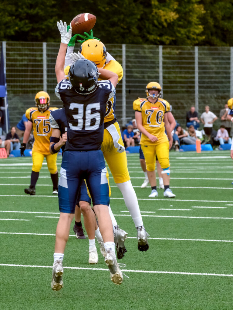 HR_2025-09-20_17-06-41_DSCF8444