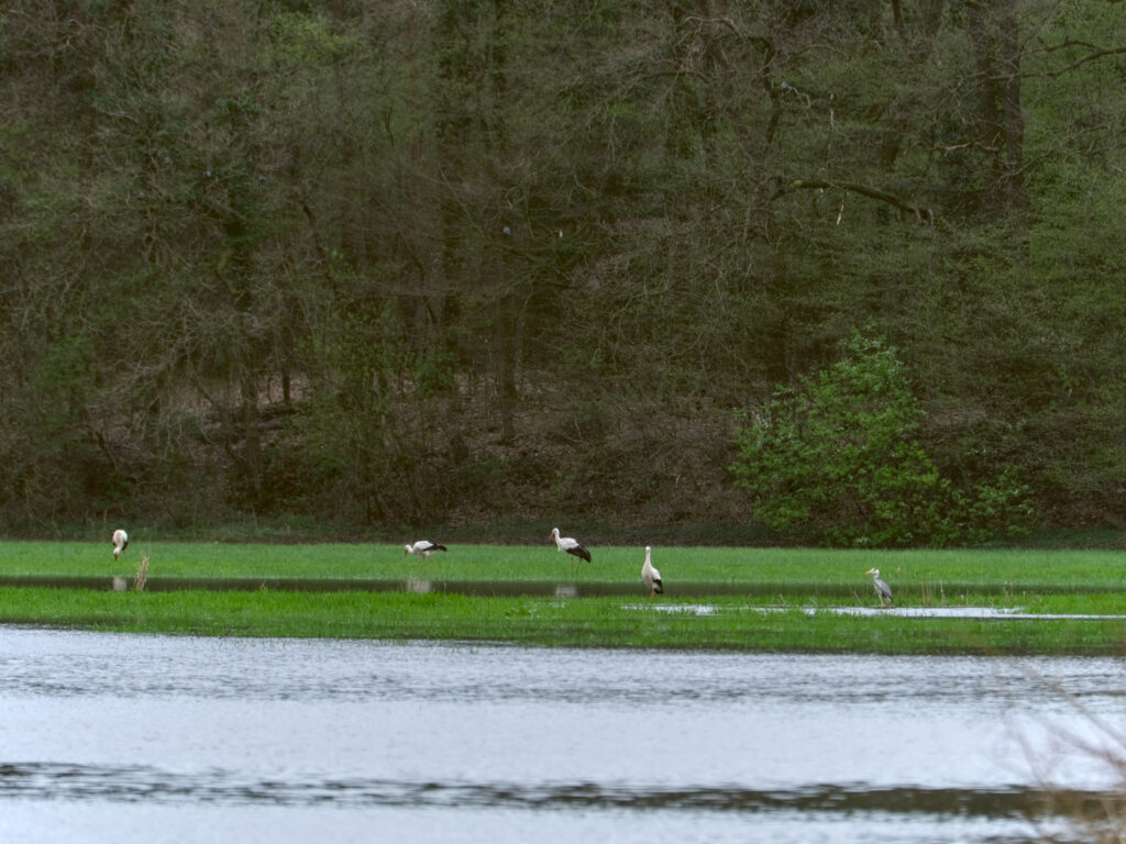 HR-24-04-06-11-47-08-5553