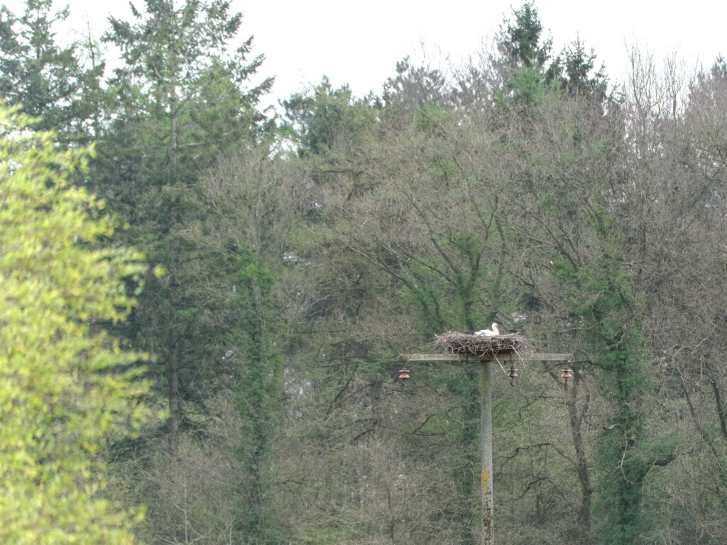 HR-24-04-06-11-47-27-5558