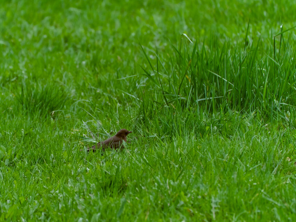 HR-24-04-06-11-47-44-5565