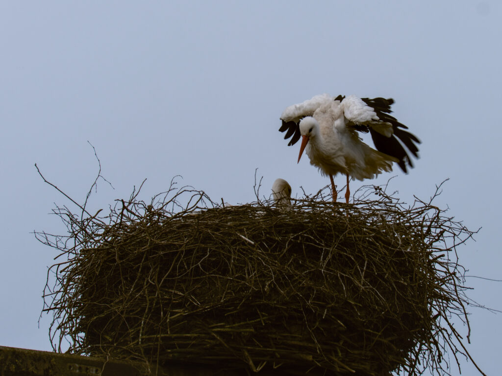 HR-24-04-06-11-52-07-5573