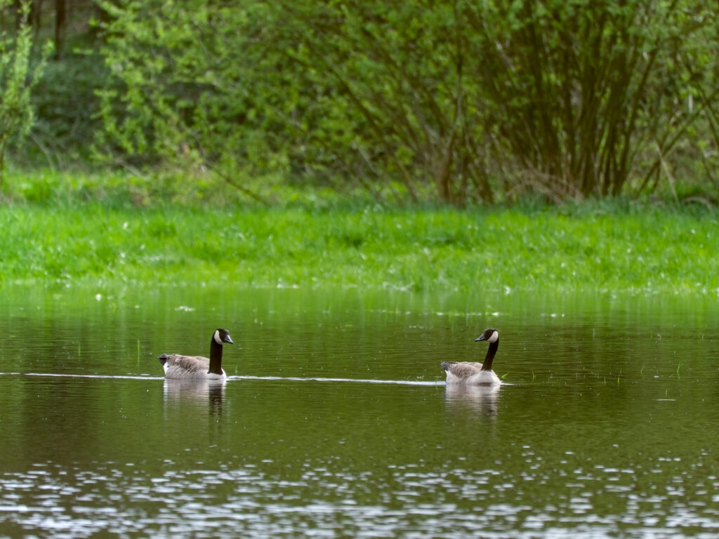 HR-24-04-06-11-56-01-5579