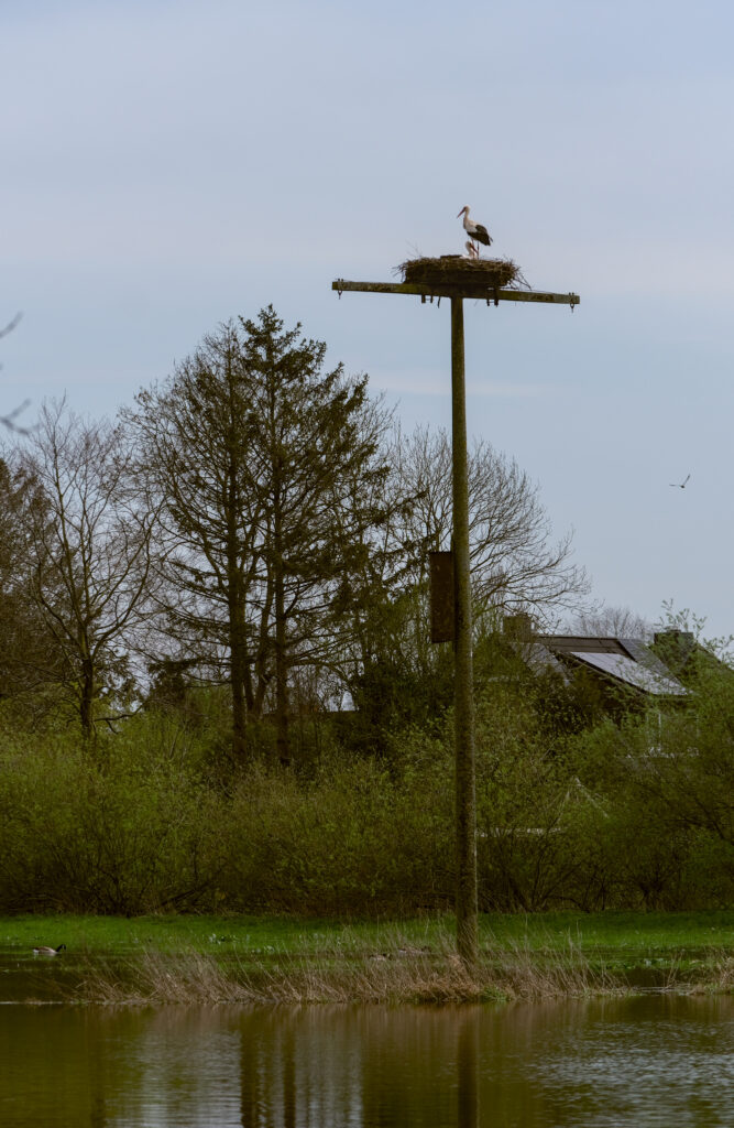 HR-24-04-06-11-56-20-5587