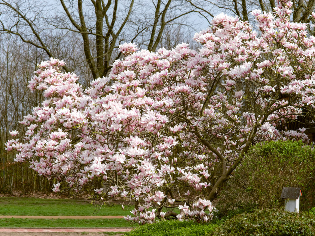 HR-24-04-06-12-10-44-5609