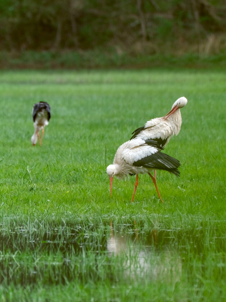 HR-24-04-06-12-15-46-5629