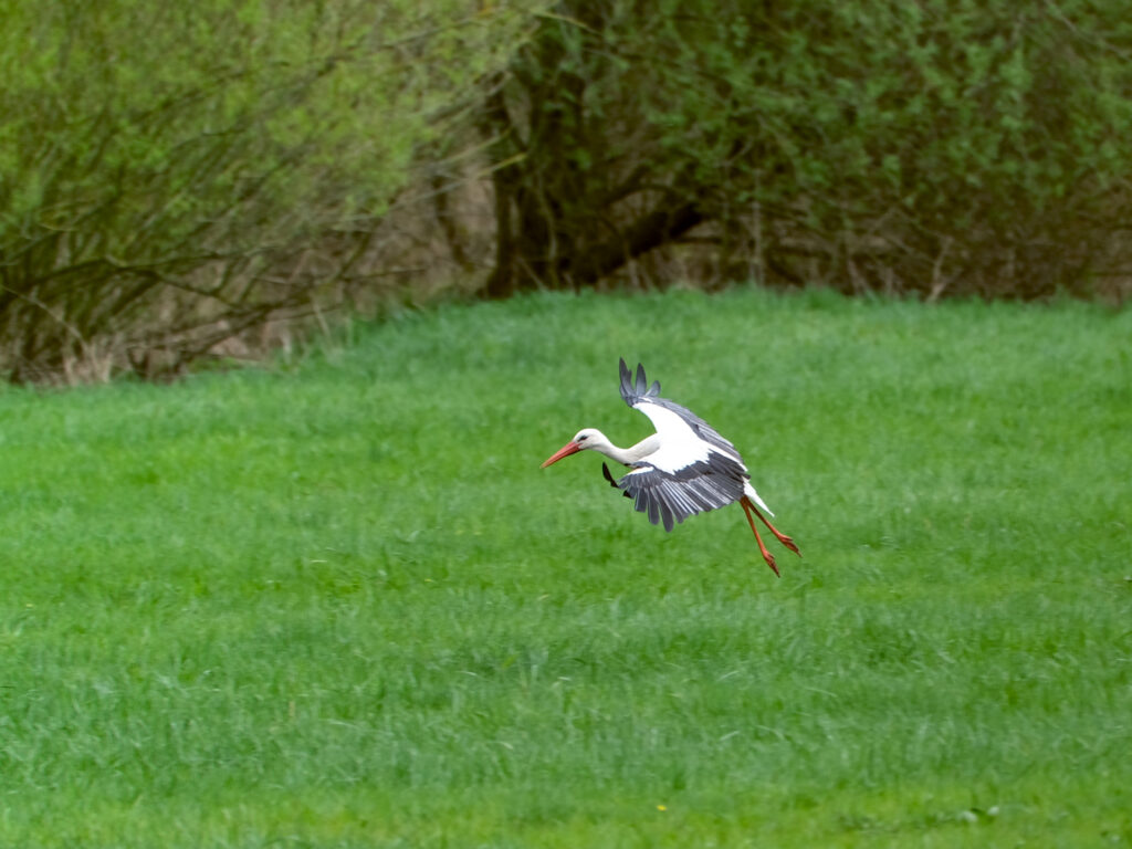 HR-24-04-06-12-18-33-5639