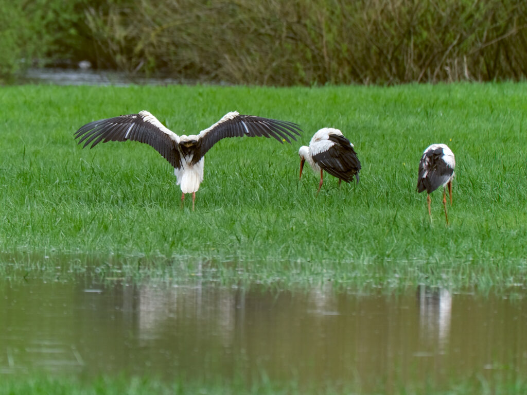 HR-24-04-06-12-20-27-5659