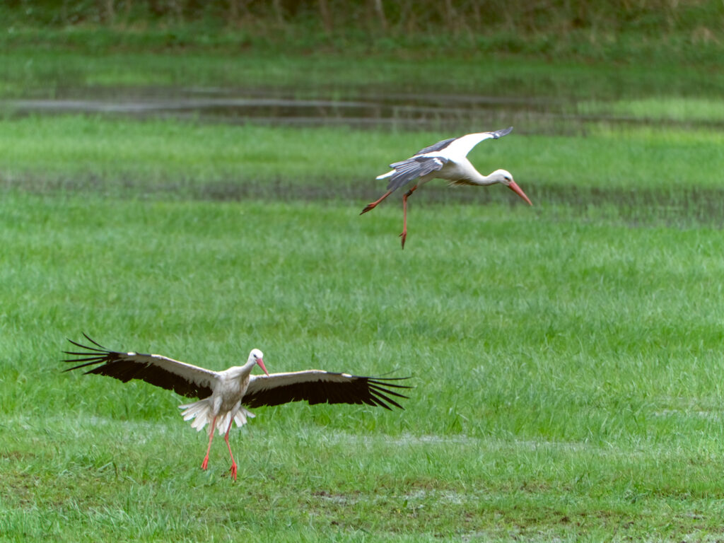 HR-24-04-06-12-23-41-5682