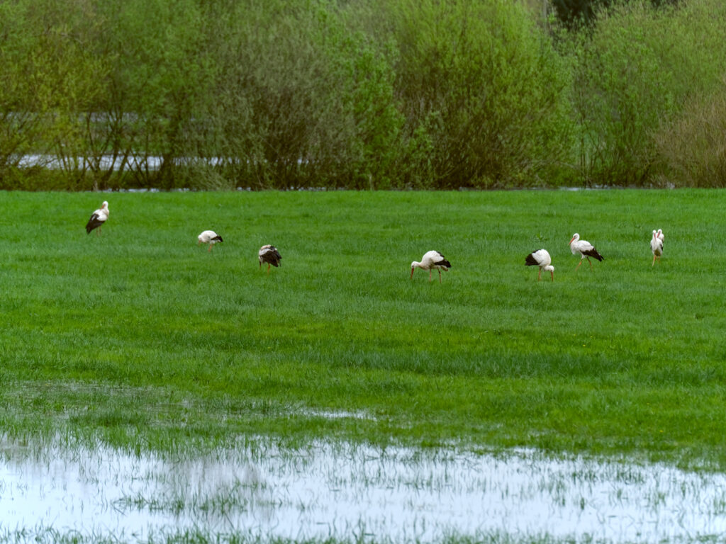 HR-24-04-06-12-25-18-5693