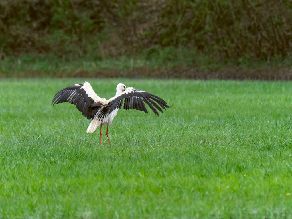 HR-24-04-06-12-28-25-5716