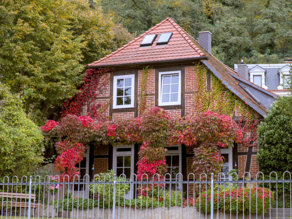 HR_2025-10-09_08-59-55_DSCF2884