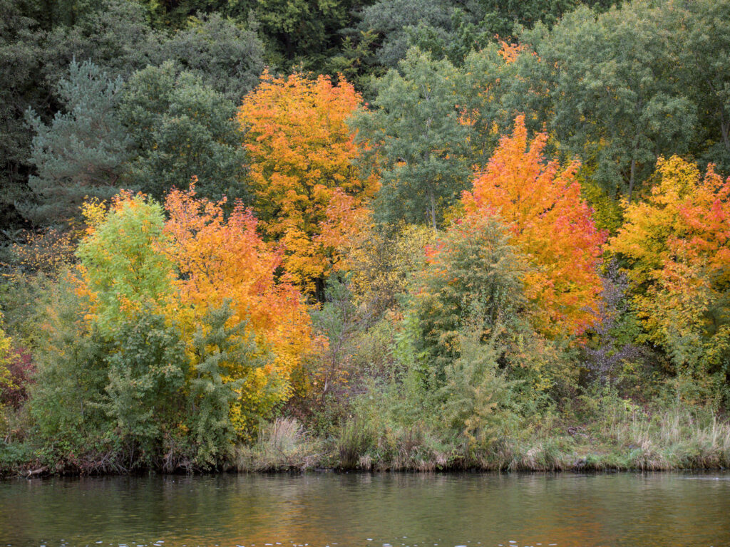 HR_2025-10-09_10-06-24_DSCF8899