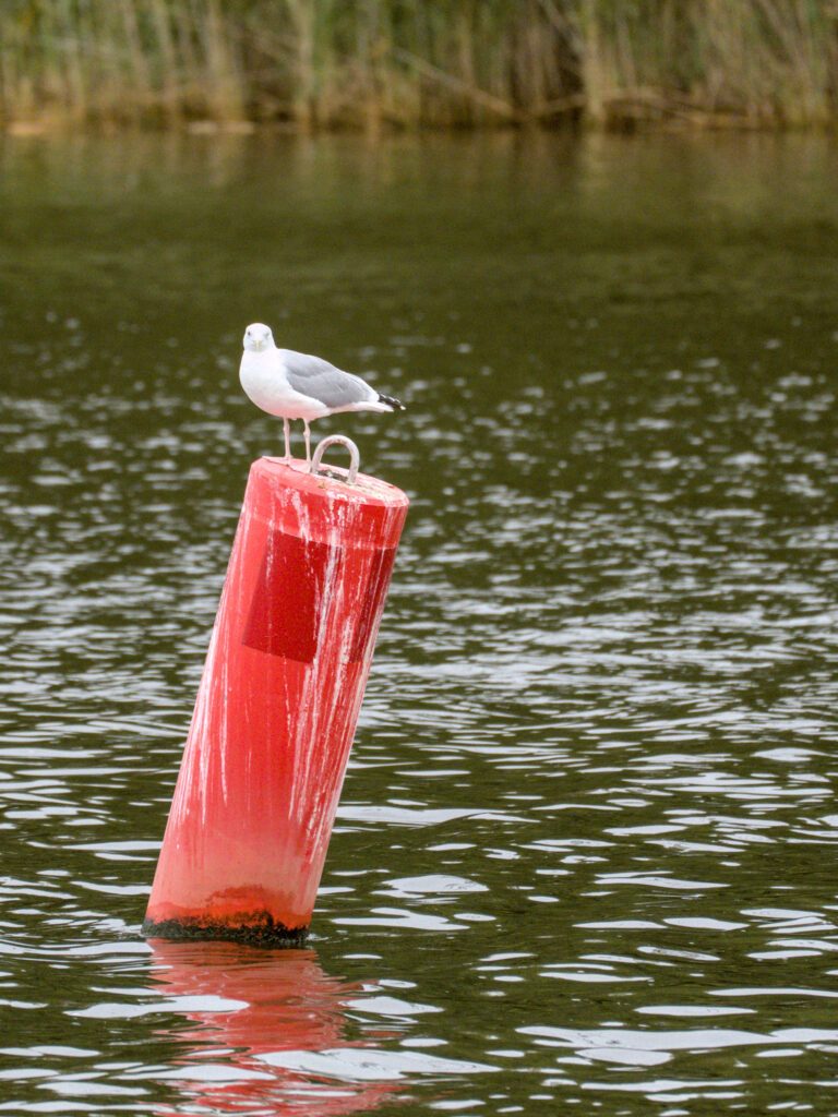 HR_2025-10-09_10-07-38_DSCF8905