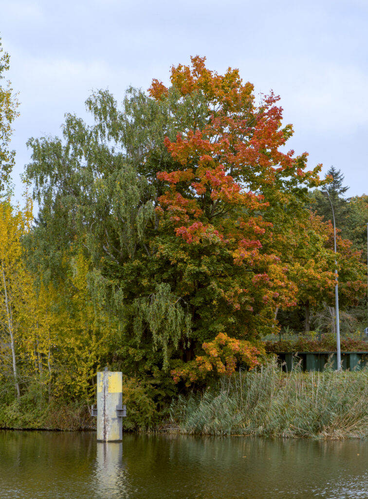 HR_2025-10-09_10-20-20_DSCF2892