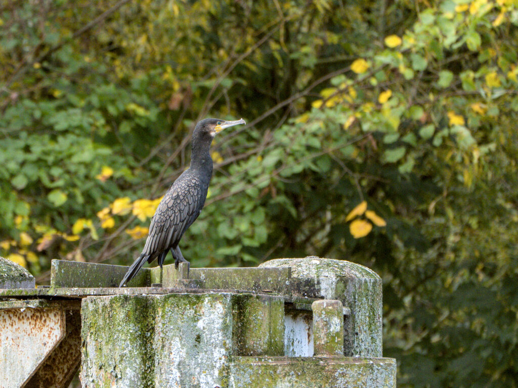 HR_2025-10-09_10-45-07_DSCF8934