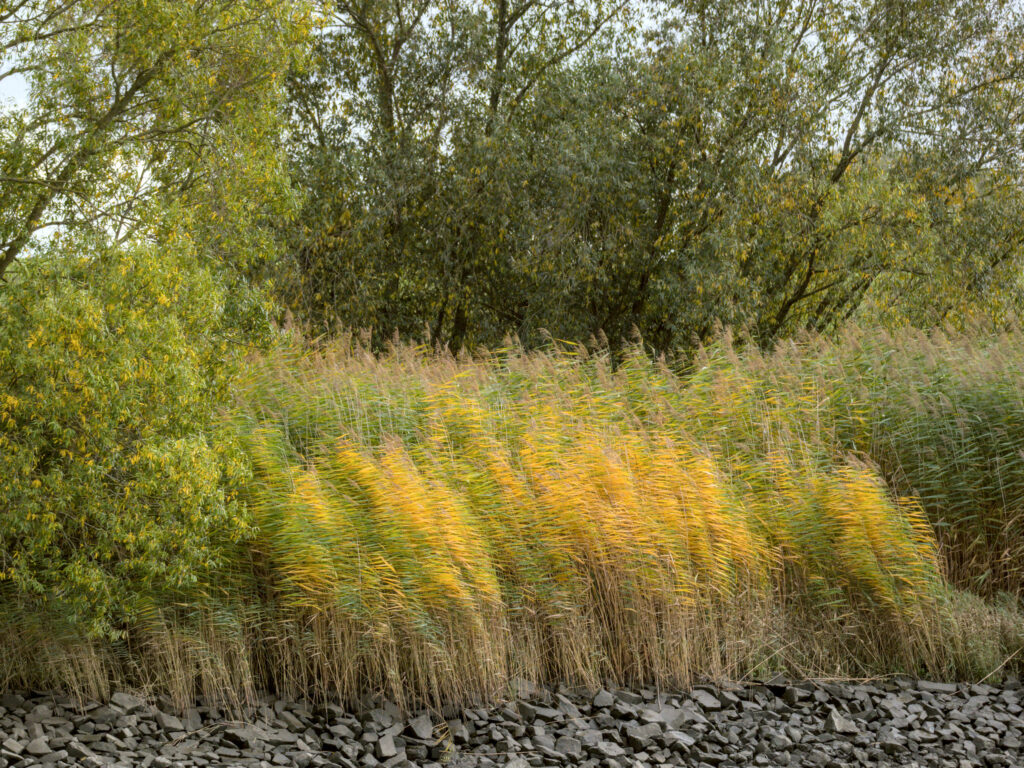 HR_2025-10-09_12-07-21_DSCF8961