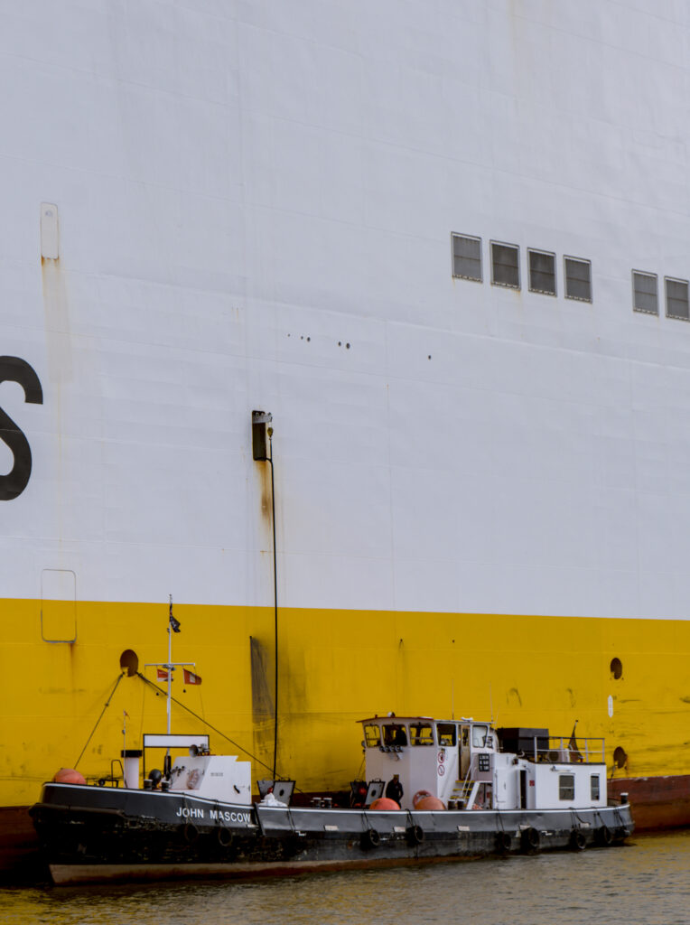 HR_2025-10-09_12-32-51_DSCF2942