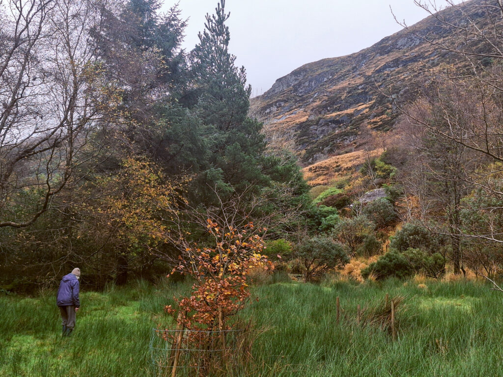 Unterwegs auf dem Grundstück