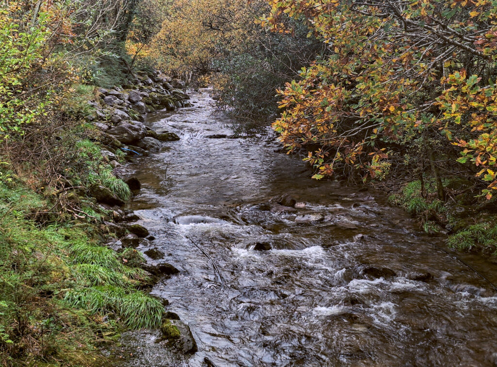 Der Fluss ist heute ruhig