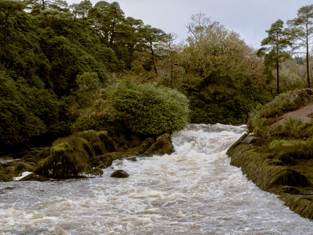 heute nicht ganz so ruhig…
