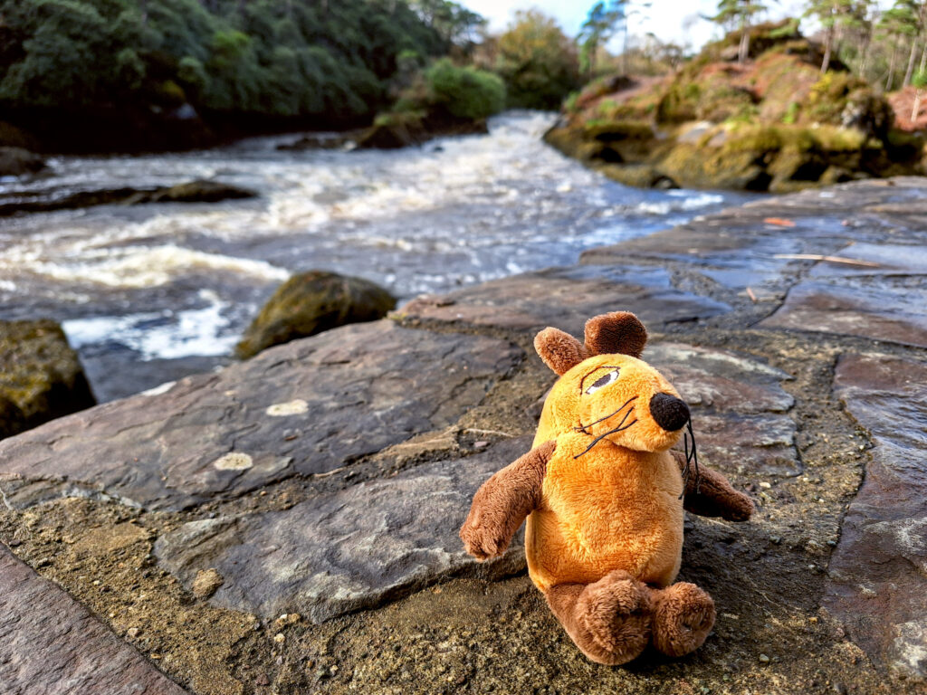 Die Maus war auch dabei!