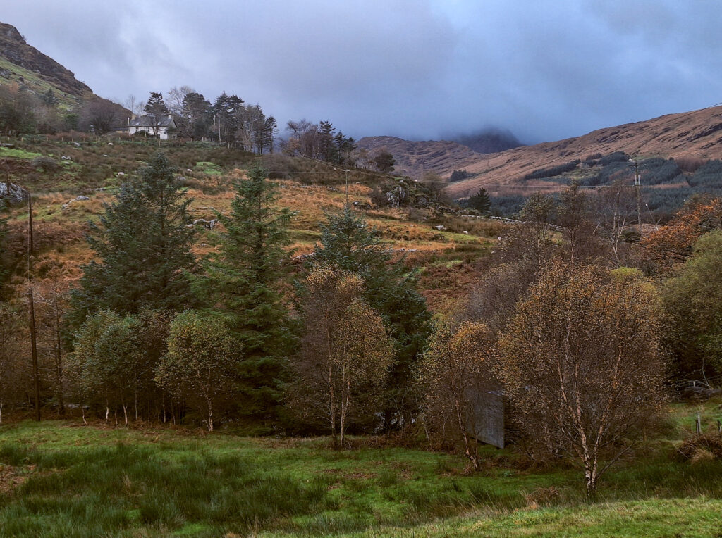 Das nächste Regenschauer kommt!