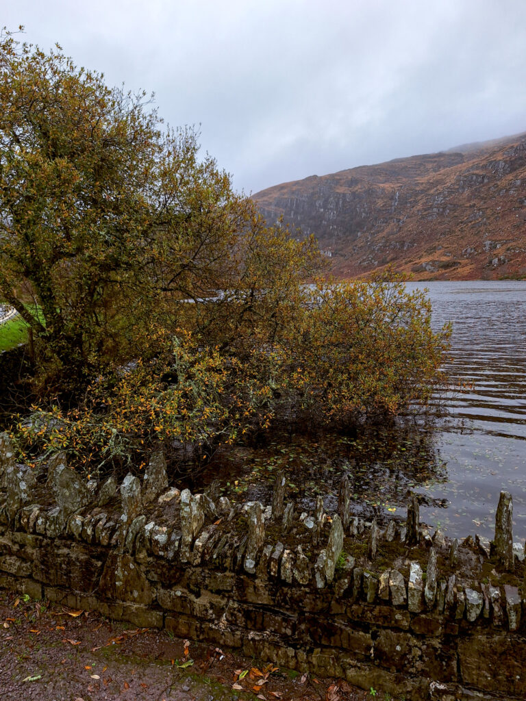 kleiner Walk, solange es nur nieselt