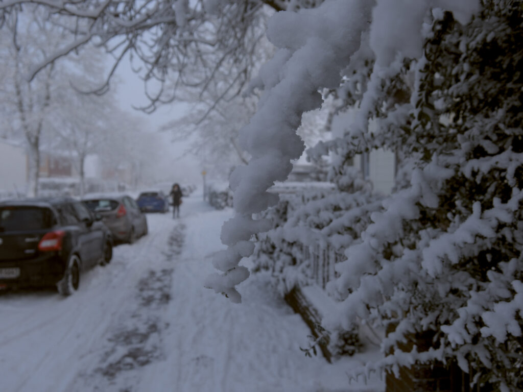 HR_2026-01-03_12-12-07_DSCF9286