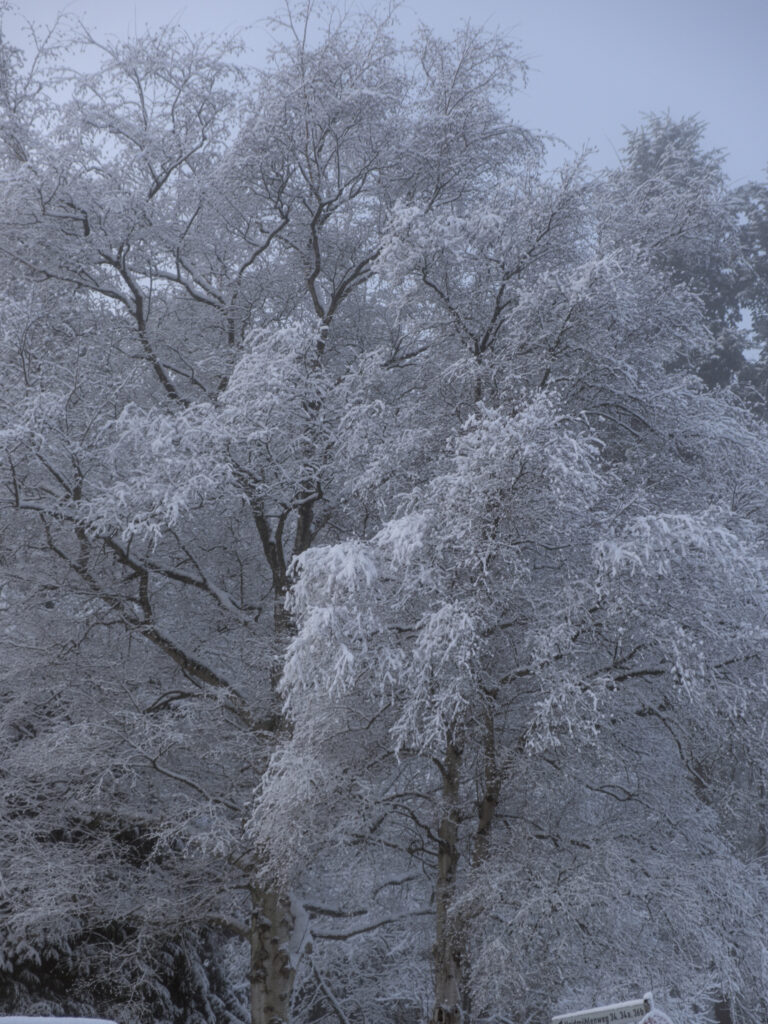 HR_2026-01-03_12-13-19_DSCF9287