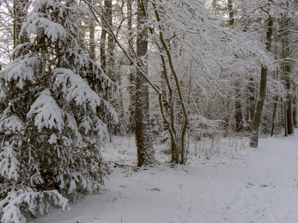 HR_2026-01-03_12-17-31_DSCF9295