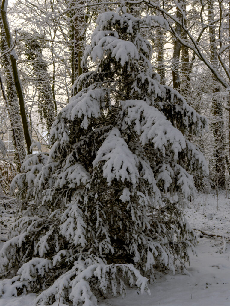 HR_2026-01-03_12-17-59_DSCF9296