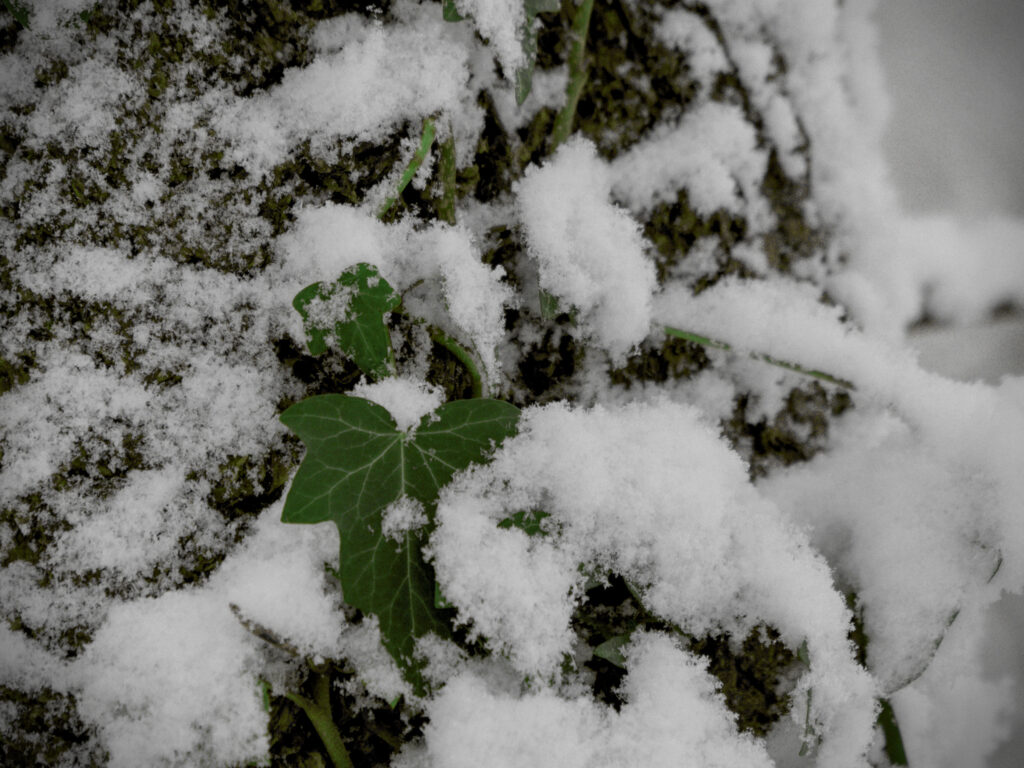 HR_2026-01-03_12-19-28_DSCF9298