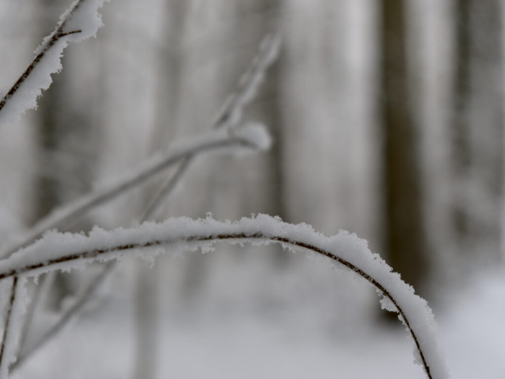 HR_2026-01-03_12-20-56_DSCF9300