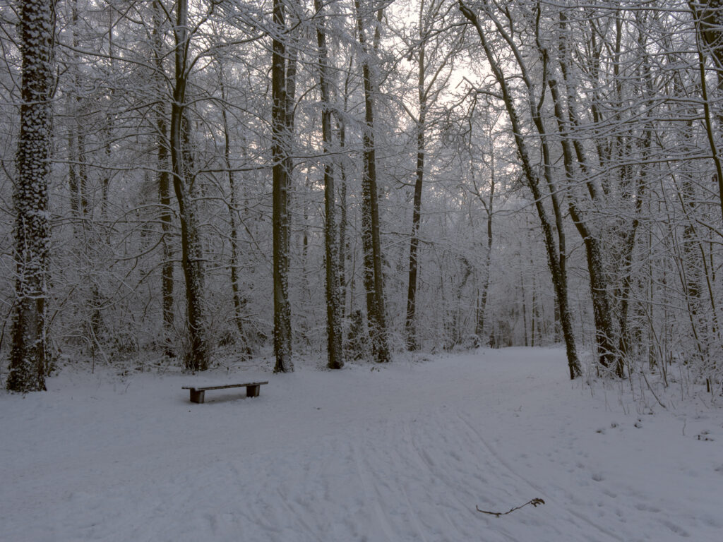 HR_2026-01-03_12-21-42_DSCF9301