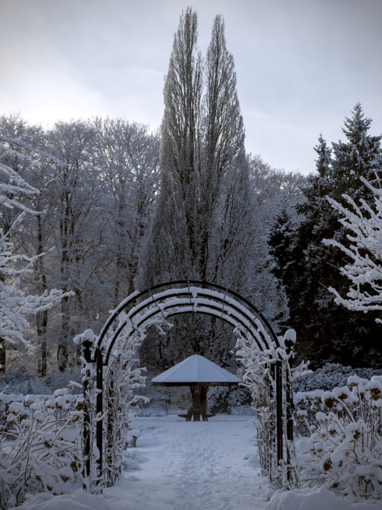 HR_2026-01-03_12-49-37_DSCF9341