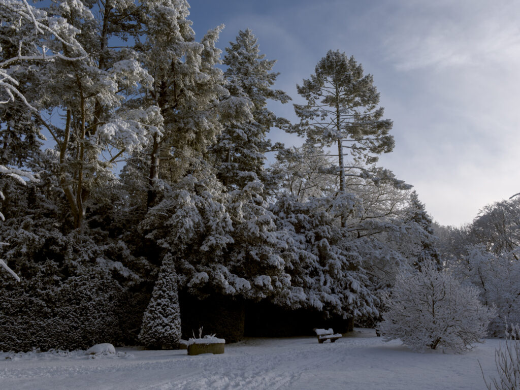 HR_2026-01-03_12-50-17_DSCF9344