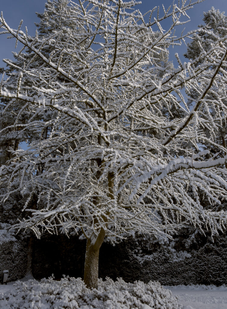 HR_2026-01-03_12-51-18_DSCF9347