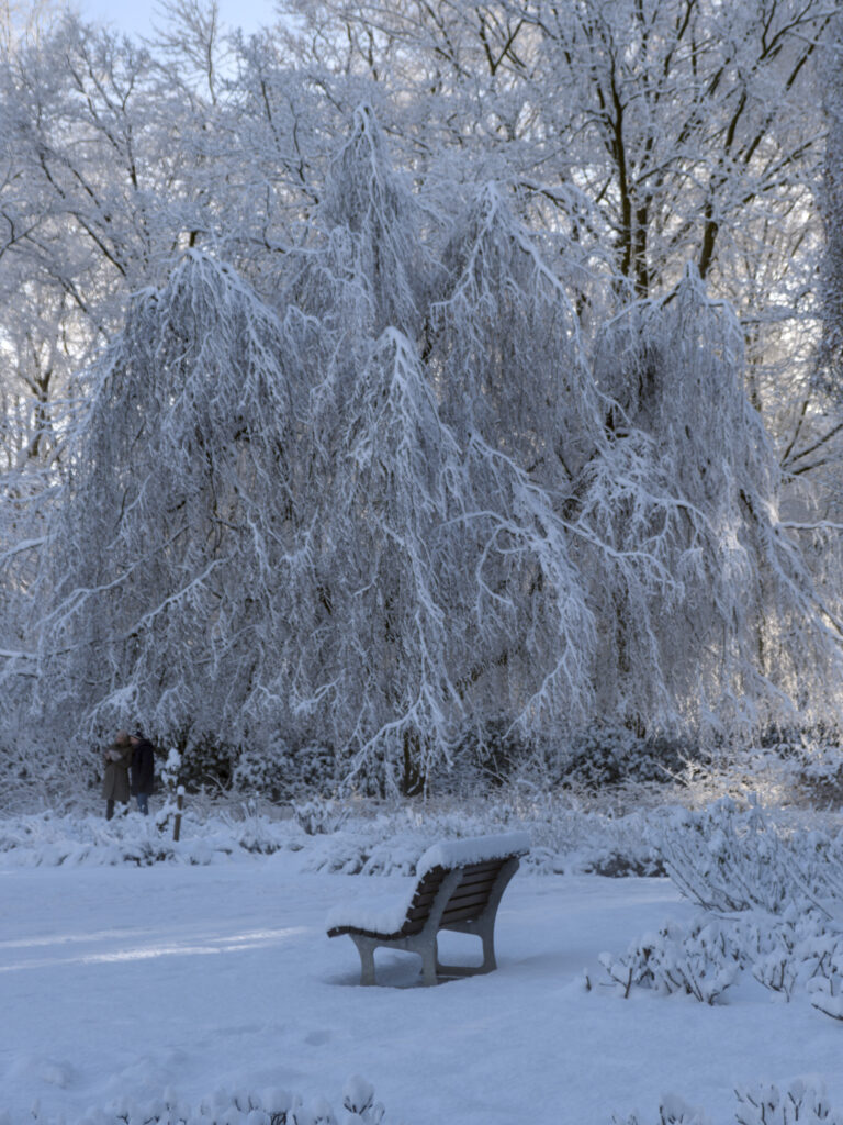 HR_2026-01-03_13-00-02_DSCF9350