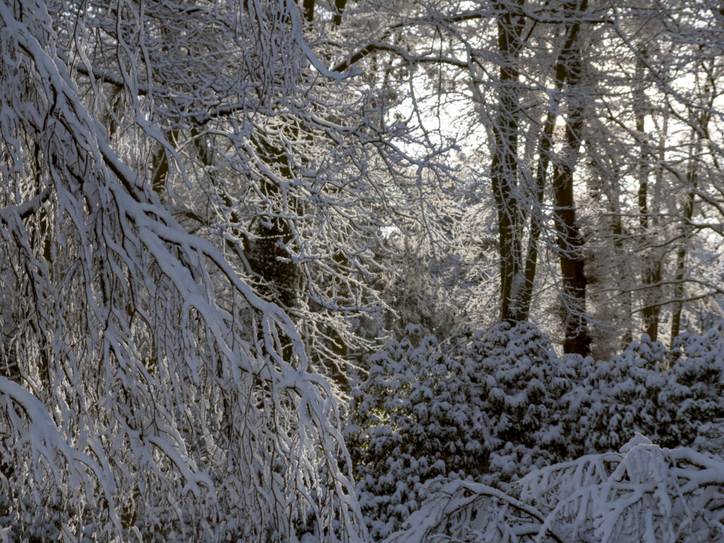 HR_2026-01-03_13-03-55_DSCF9355