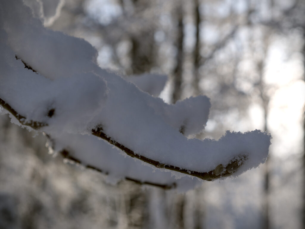 HR_2026-01-03_13-04-49_DSCF9356