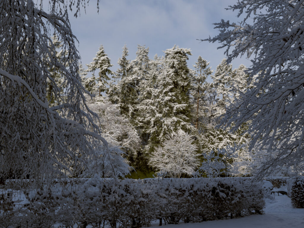 HR_2026-01-03_13-11-22_DSCF9361