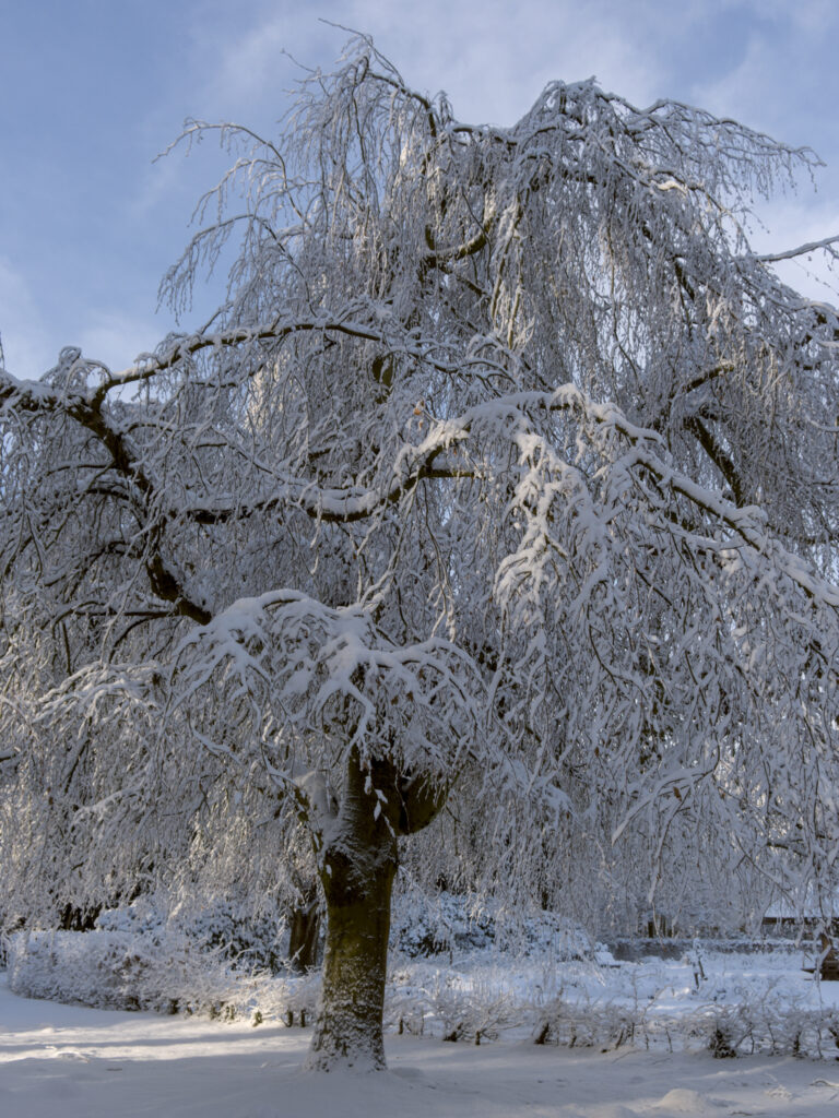 HR_2026-01-03_13-11-48_DSCF9363