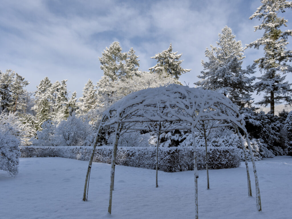 HR_2026-01-03_13-13-41_DSCF9366